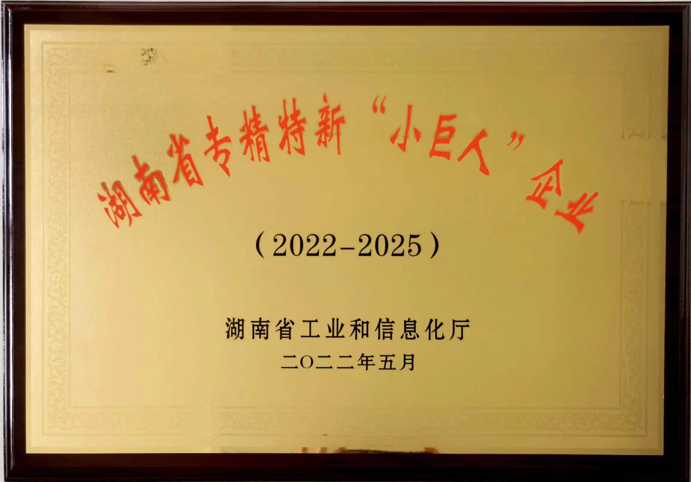 湖南省專精特新“小巨人”企業(yè)